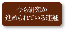 今も研究が進められている連翹