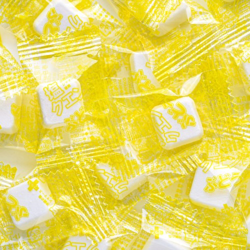 25粒塩クエン酸入りぶどう糖